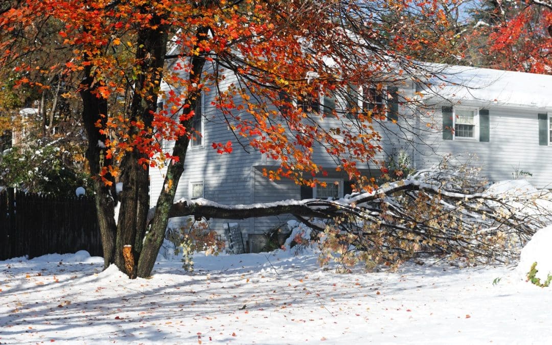 Behind the Scenes: How Our Team Prepares for Emergency Winter Calls