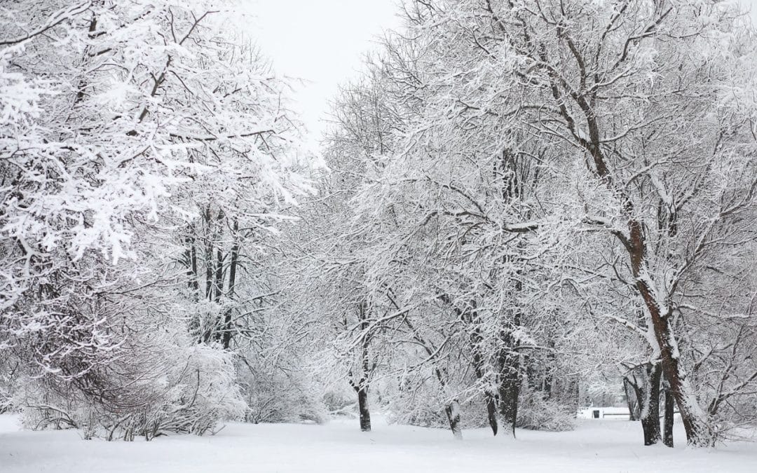 What Troy Homeowners Should Look For After Heavy Snowfall