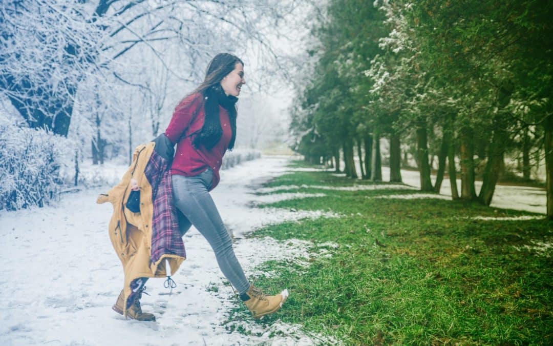 How We Use Winter Downtime to Improve Tree Health for Spring