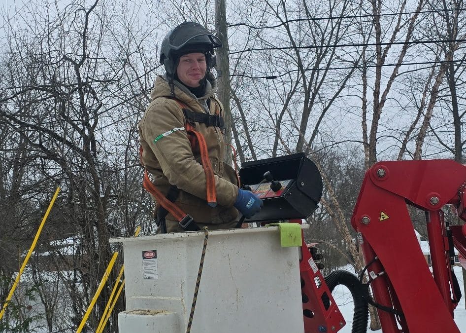 Tree Care Tips for Late Winter Conditions