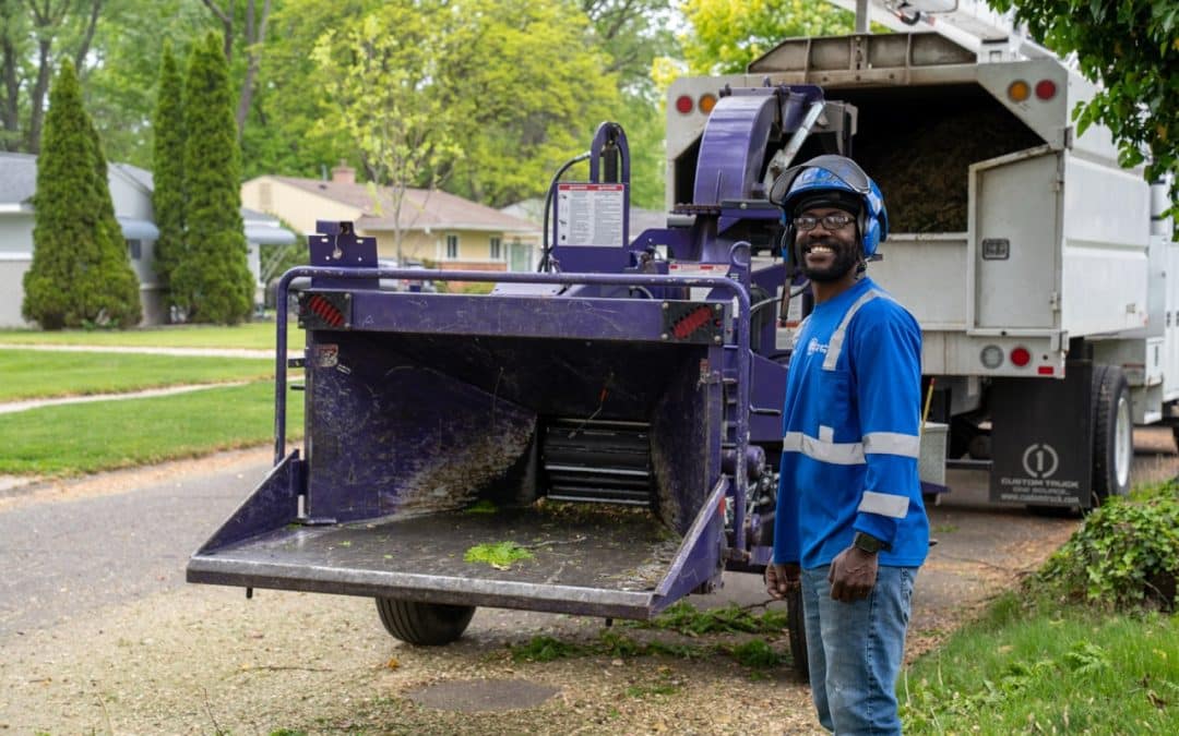 When to Schedule Tree Care Before Peak Season
