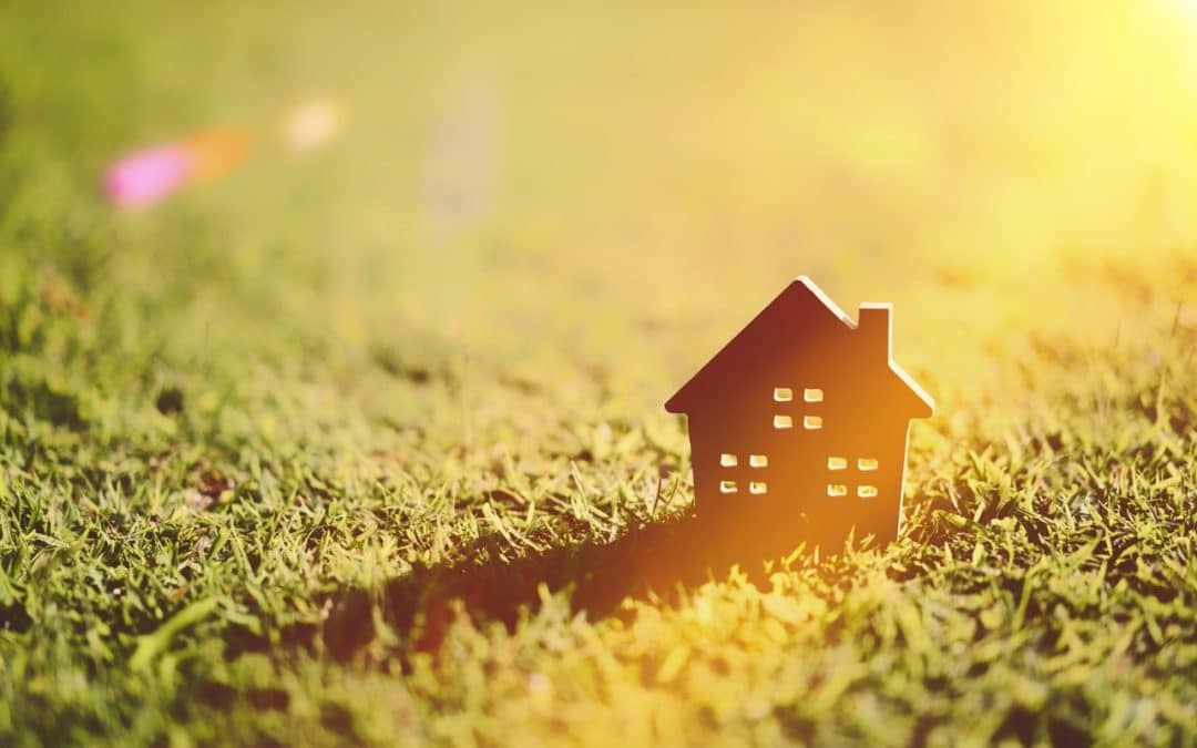 Does Homeowners Insurance Cover Tree Care?