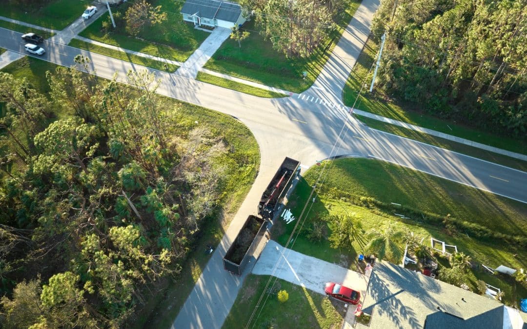 Why DIY Tree Removal Is More Dangerous Than You Think