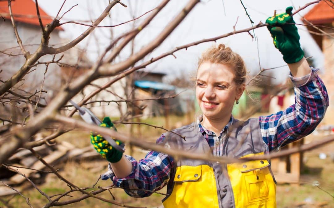 When to Call a Plant Health Care Specialist