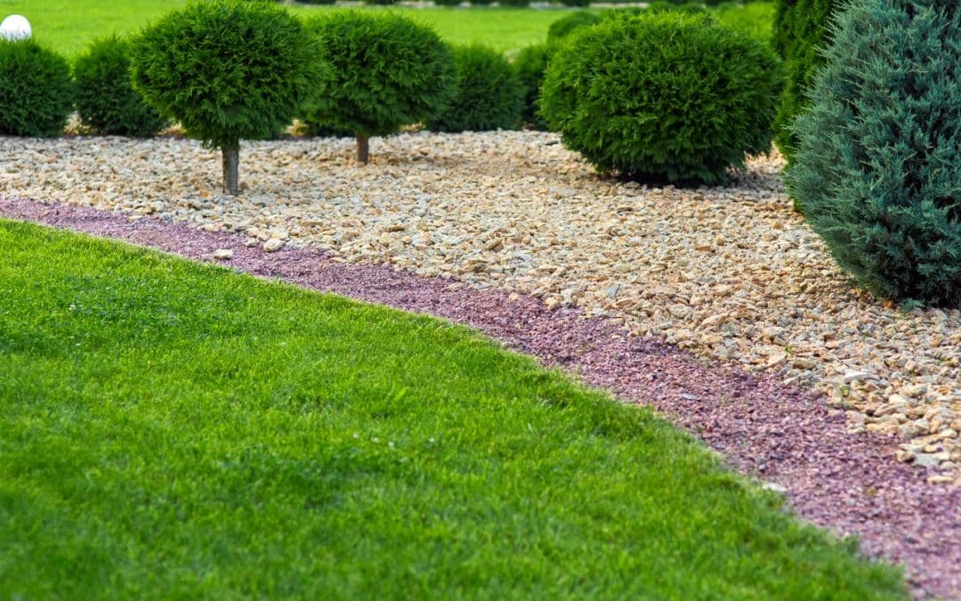 What Does Mulch Do? Everything Homeowners Should Know About Mulch