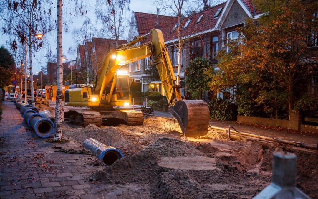 How To Protect Trees During Construction