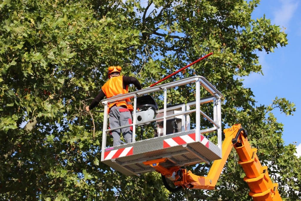 Professional arborist using a crane to lift and remove a large tree section safely over a residential roofline.