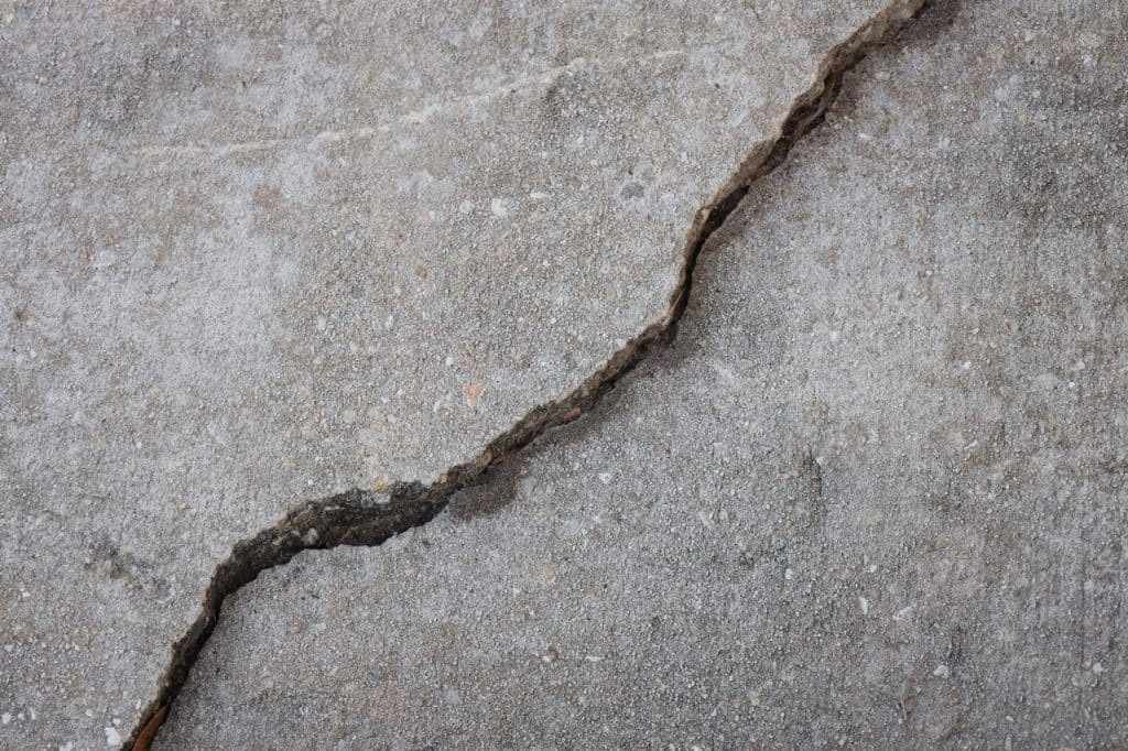 tree sidewalk damage