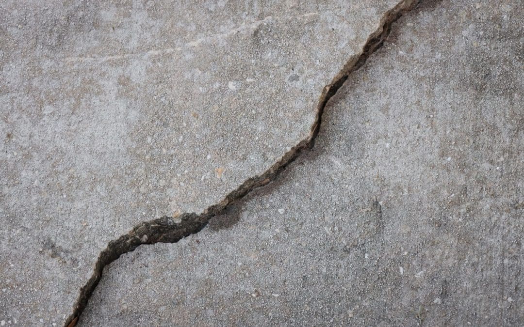 How Trees Can Damage Driveways, Walkways, and Fences