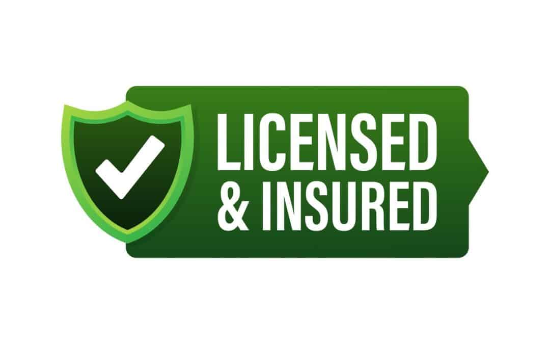 Why Fully Insured Tree Service Matters More Than Ever
