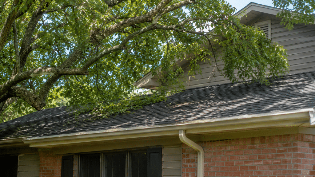 Tree branches hanging over roof and gutters of a residential house in Troy, MI
