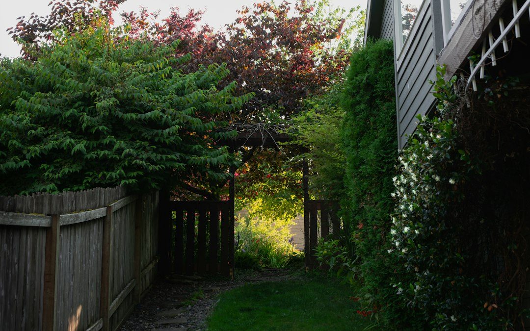 How to Remove Buckthorn From Your Backyard in Oakland County
