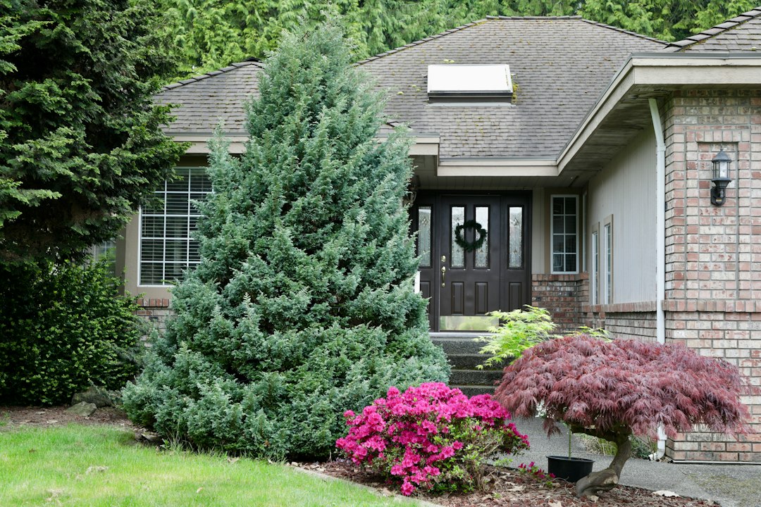 Suburban home surrounded by mature trees and landscaping