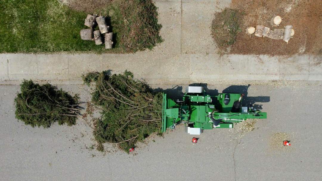 Tree service equipment handling large branches during removal