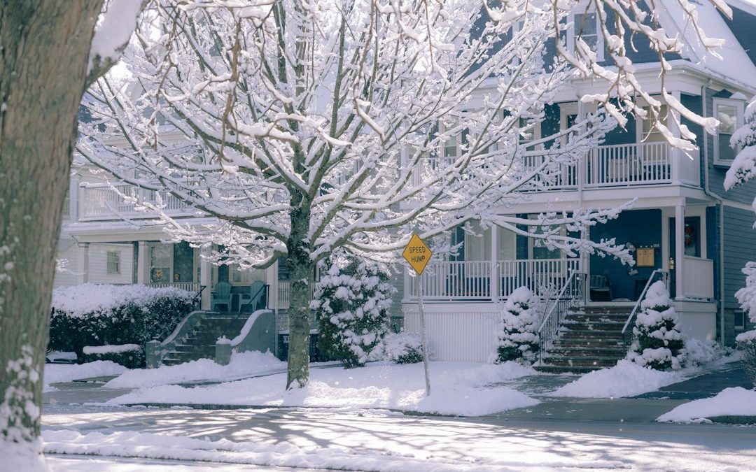 Can Heavy Snow Cause Tree Branches to Break?