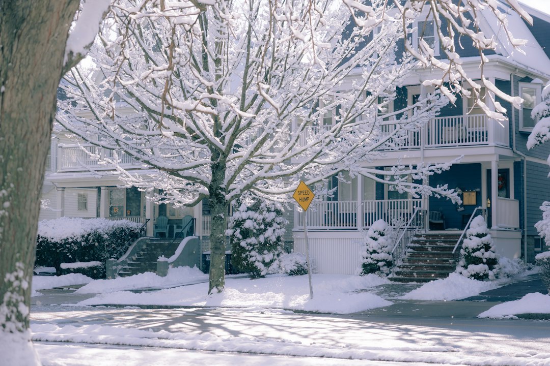 Snow-covered trees and houses during Michigan winter conditions