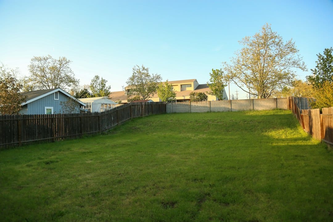 Open residential backyard suitable for new tree planting