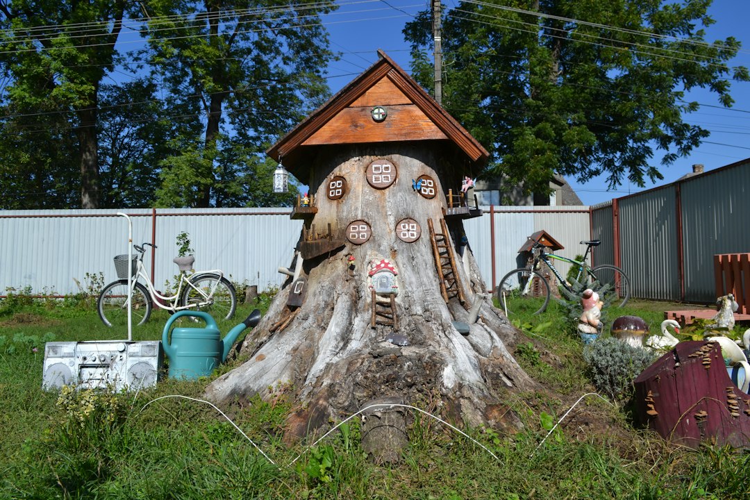 Tree stump in a residential backyard