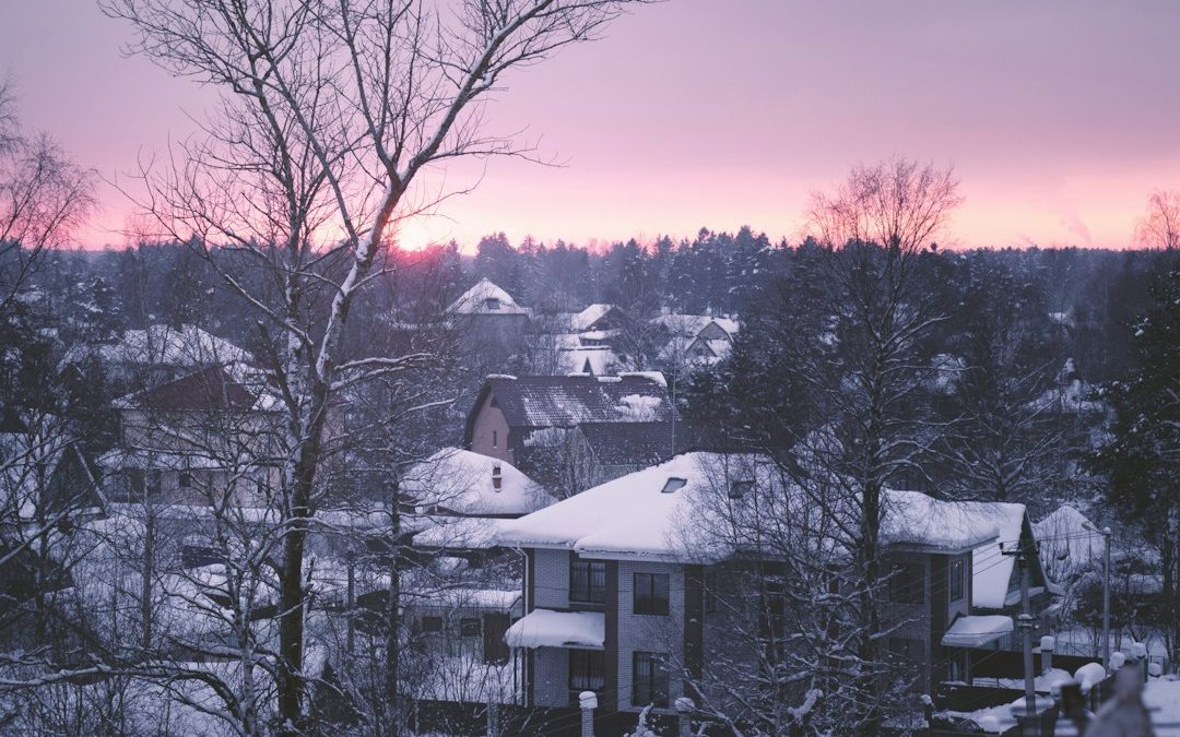 5 Tree Problems to Fix Before the First Michigan Snowfall