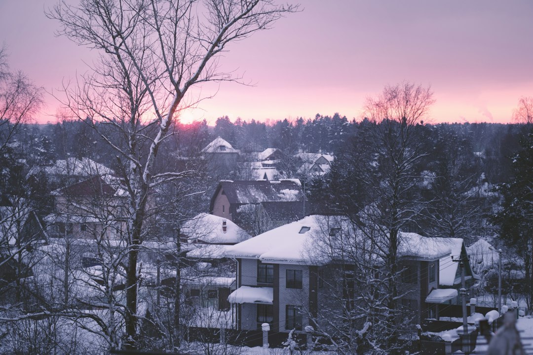 Snowy suburban trees and homes in winter