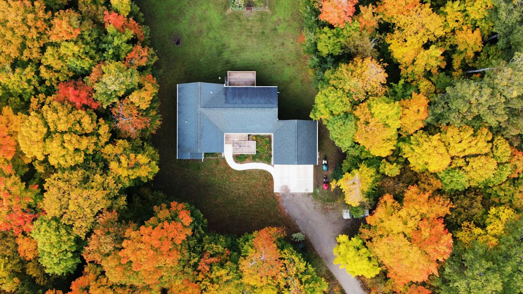 Large home surrounded by mature trees in a suburban setting