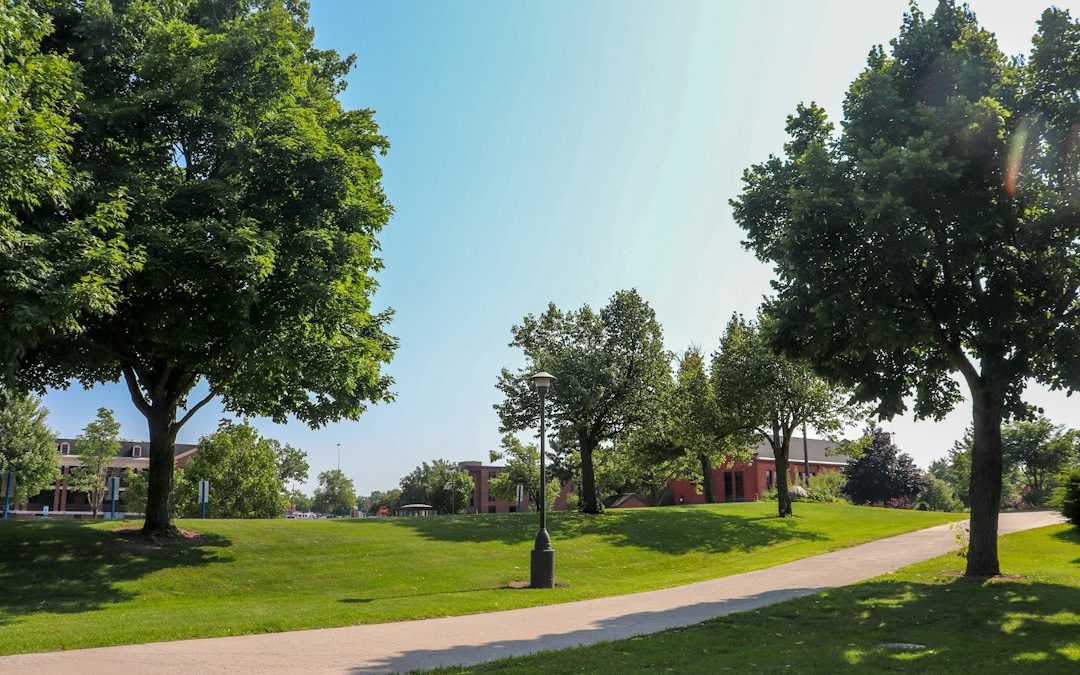 Tree Removal in Farmington Hills for Large Mature Trees