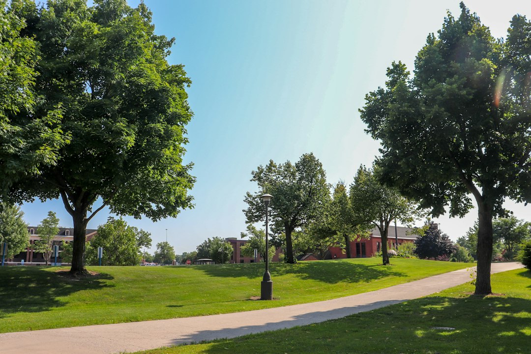 Mature trees and green space in a Michigan neighborhood