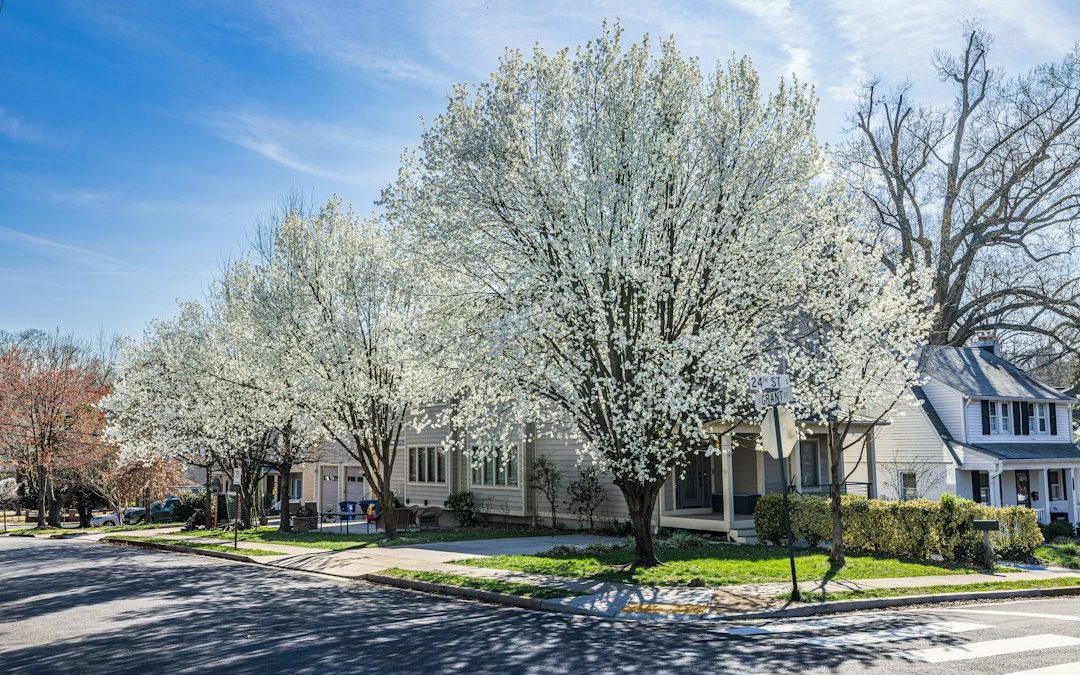 How Much Does Tree Trimming Cost in Oakland County?
